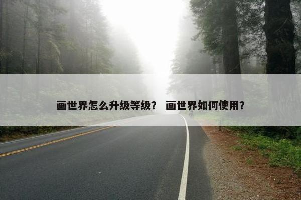 画世界怎么升级等级？ 画世界如何使用？