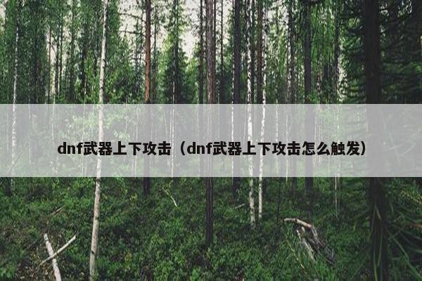 dnf武器上下攻击（dnf武器上下攻击怎么触发）