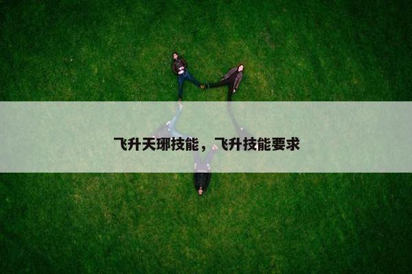 飞升天琊技能，飞升技能要求