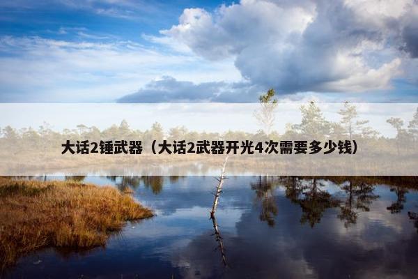 大话2锤武器（大话2武器开光4次需要多少钱）