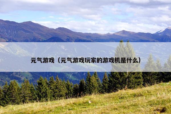 元气游戏（元气游戏玩家的游戏机是什么）