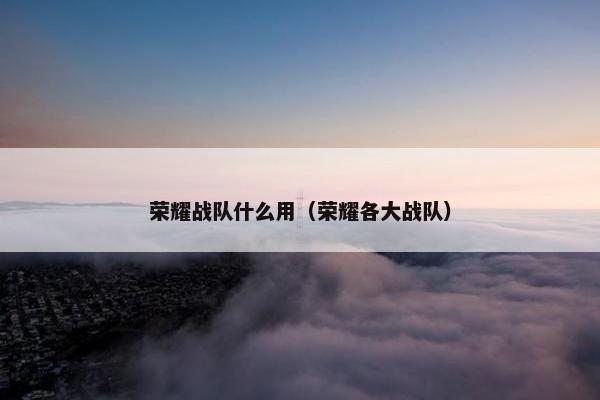 荣耀战队什么用（荣耀各大战队）
