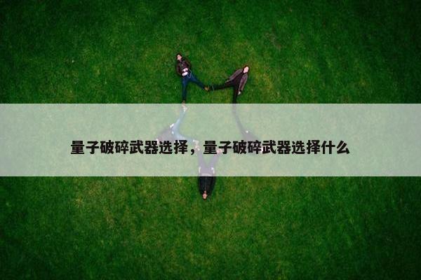 量子破碎武器选择，量子破碎武器选择什么