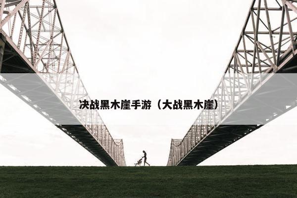 决战黑木崖手游（大战黑木崖）