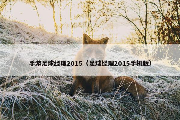 手游足球经理2015（足球经理2015手机版）
