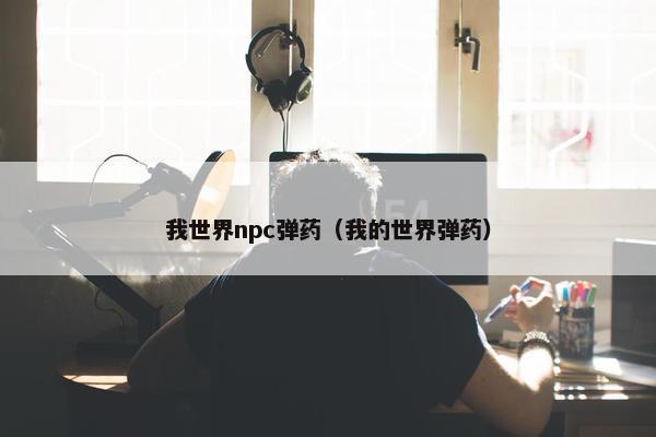 我世界npc弹药（我的世界弹药）