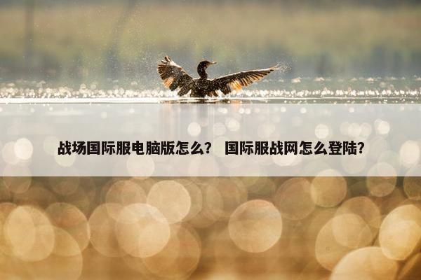战场国际服电脑版怎么？ 国际服战网怎么登陆？
