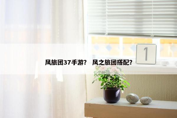 风旅团37手游？ 风之旅团搭配？