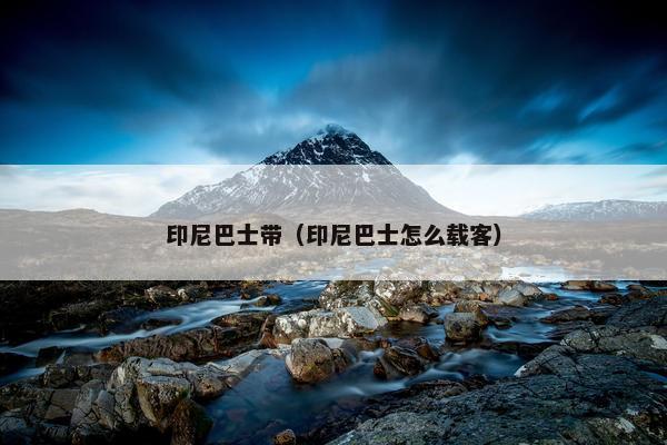 印尼巴士带（印尼巴士怎么载客）