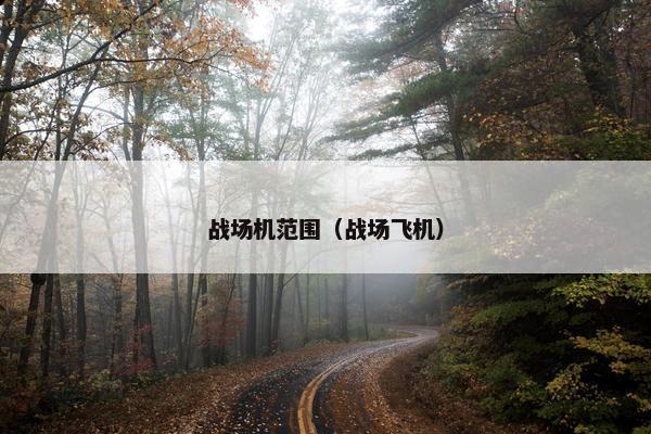 战场机范围（战场飞机）