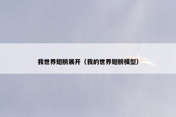 我世界翅膀展开（我的世界翅膀模型）