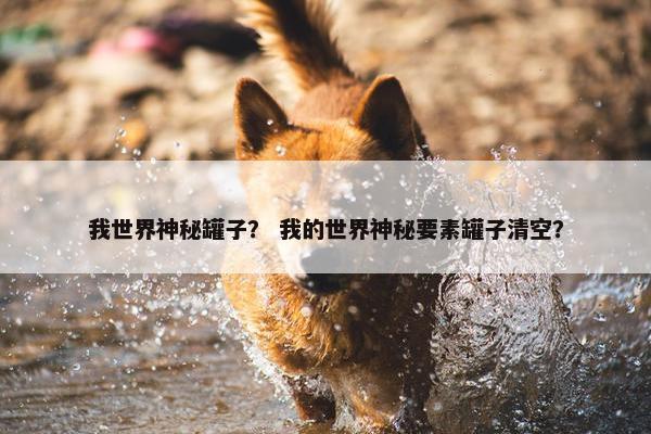 我世界神秘罐子？ 我的世界神秘要素罐子清空？