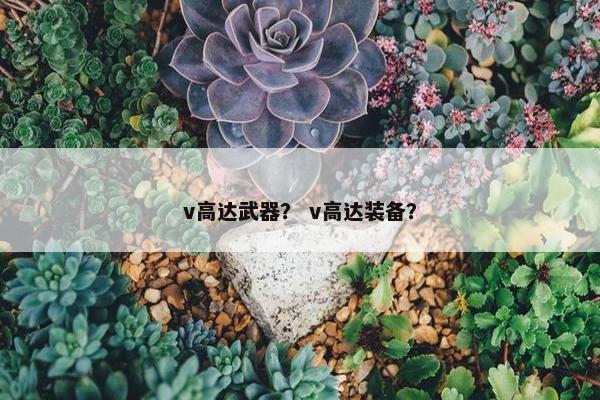 v高达武器？ v高达装备？