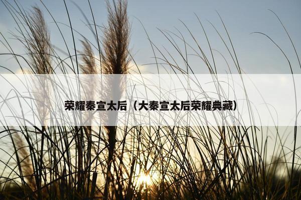 荣耀秦宣太后（大秦宣太后荣耀典藏）