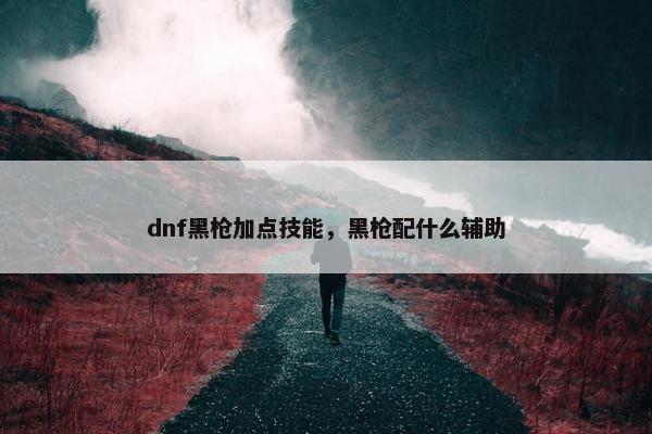 dnf黑枪加点技能，黑枪配什么辅助