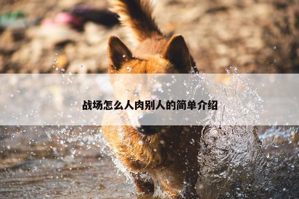 战场怎么人肉别人的简单介绍
