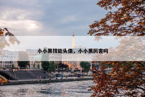 小小黑技能头像，小小黑厉害吗