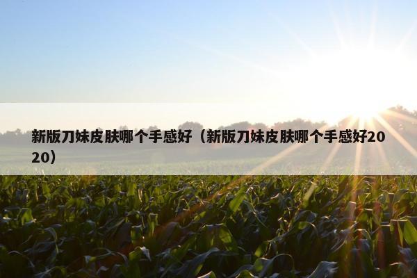 新版刀妹皮肤哪个手感好（新版刀妹皮肤哪个手感好2020）