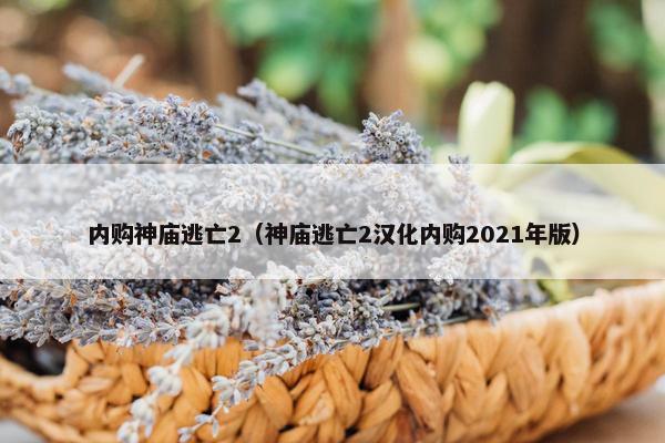 内购神庙逃亡2（神庙逃亡2汉化内购2021年版）