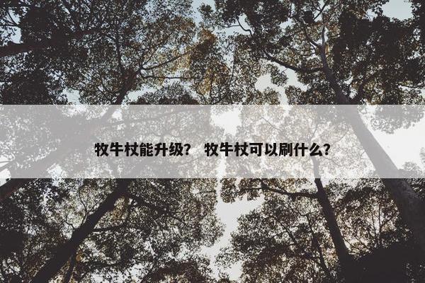 牧牛杖能升级？ 牧牛杖可以刷什么？