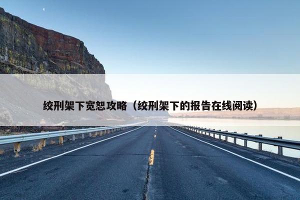绞刑架下宽恕攻略（绞刑架下的报告在线阅读）