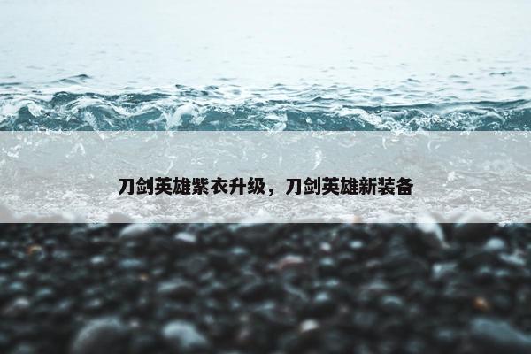 刀剑英雄紫衣升级，刀剑英雄新装备