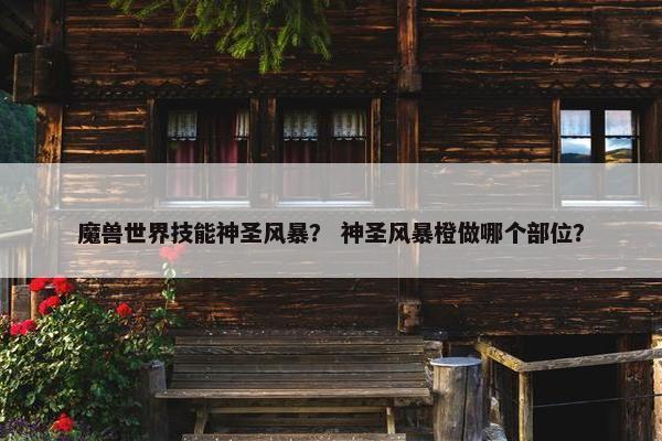 魔兽世界技能神圣风暴？ 神圣风暴橙做哪个部位？