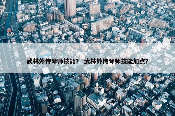 武林外传琴师技能？ 武林外传琴师技能加点？