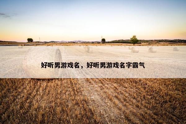 好听男游戏名，好听男游戏名字霸气