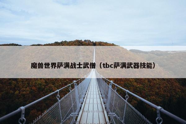 魔兽世界萨满战士武僧（tbc萨满武器技能）