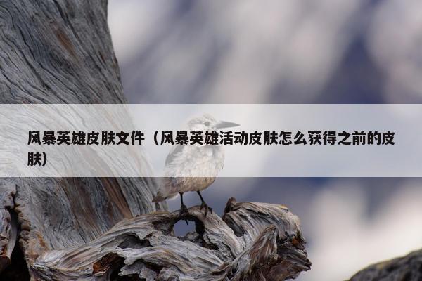 风暴英雄皮肤文件（风暴英雄活动皮肤怎么获得之前的皮肤）
