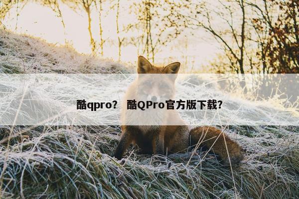 酷qpro？ 酷QPro官方版下载？