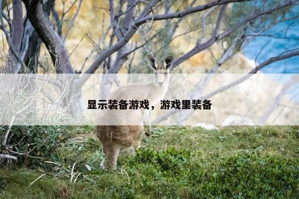 显示装备游戏，游戏里装备