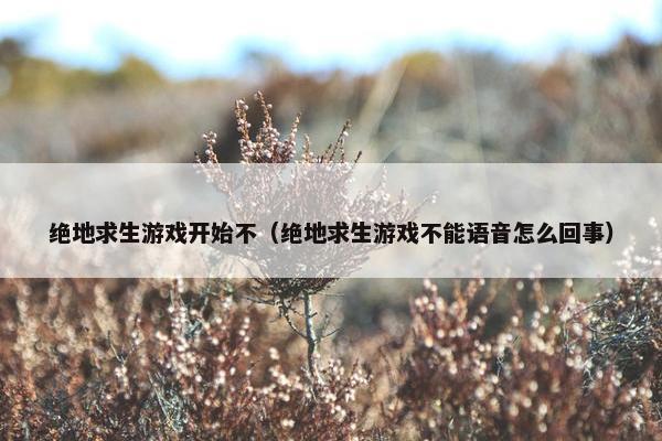 绝地求生游戏开始不（绝地求生游戏不能语音怎么回事）