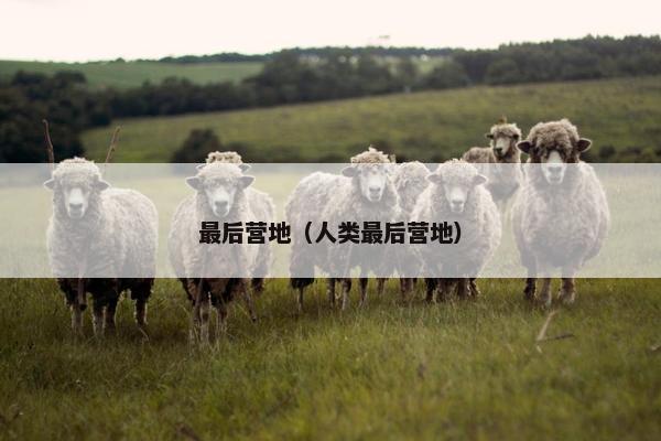 最后营地（人类最后营地）