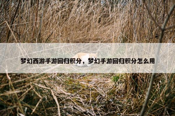 梦幻西游手游回归积分，梦幻手游回归积分怎么用