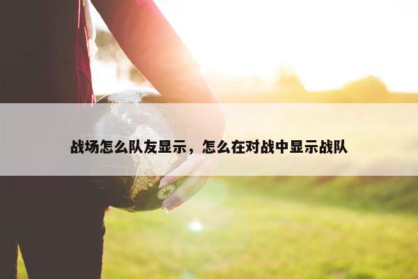战场怎么队友显示，怎么在对战中显示战队