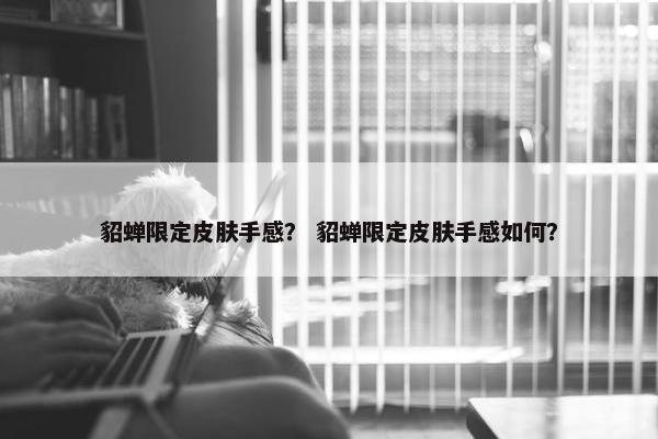 貂蝉限定皮肤手感？ 貂蝉限定皮肤手感如何？