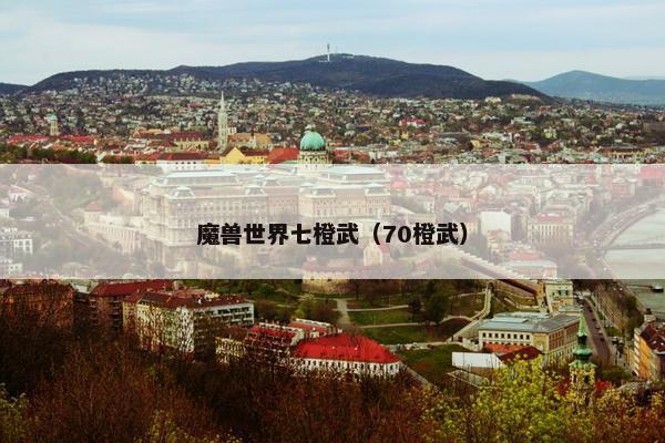 魔兽世界七橙武（70橙武）