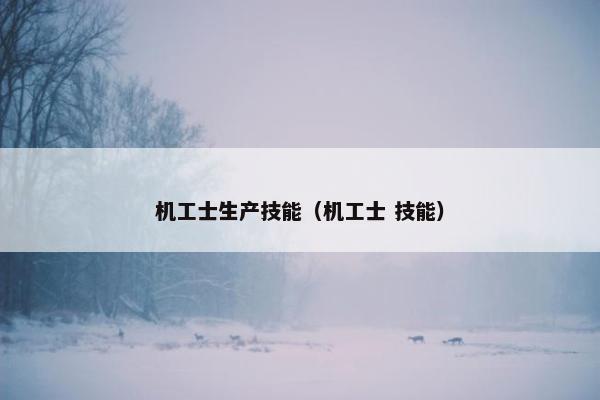 机工士生产技能（机工士 技能）