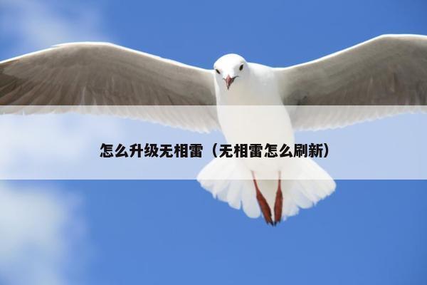 怎么升级无相雷（无相雷怎么刷新）