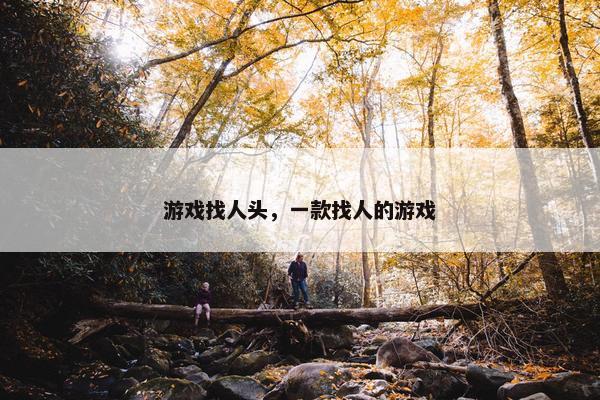 游戏找人头，一款找人的游戏
