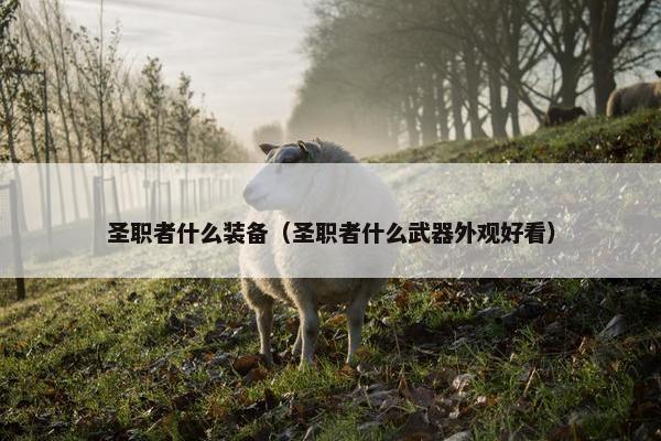 圣职者什么装备（圣职者什么武器外观好看）