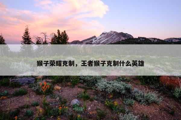猴子荣耀克制，王者猴子克制什么英雄
