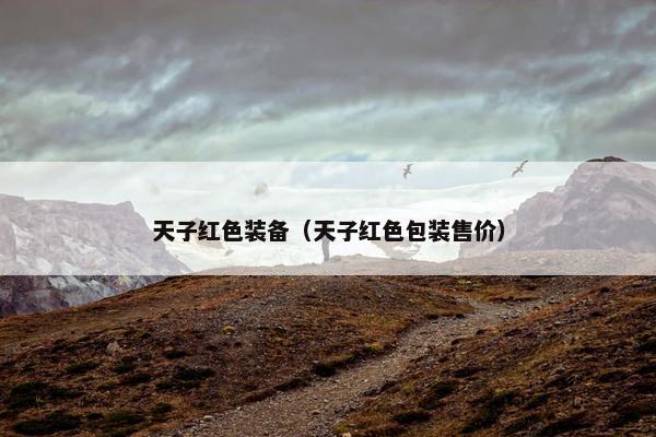 天子红色装备（天子红色包装售价）