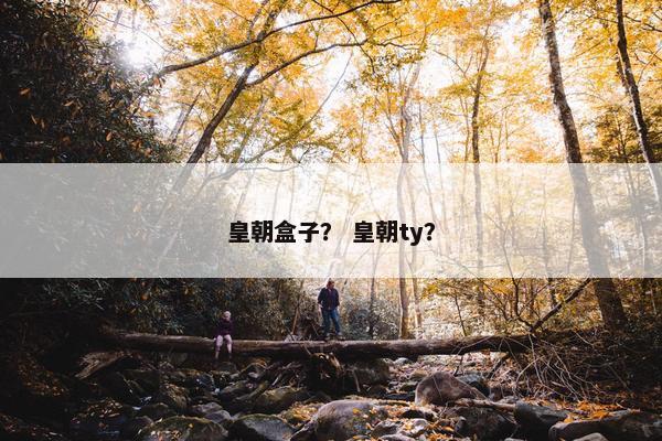 皇朝盒子？ 皇朝ty？