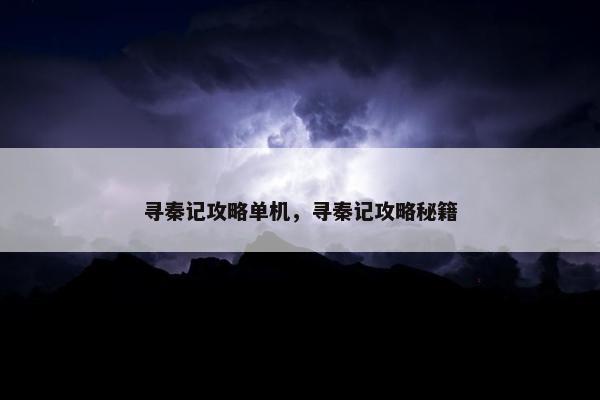寻秦记攻略单机，寻秦记攻略秘籍