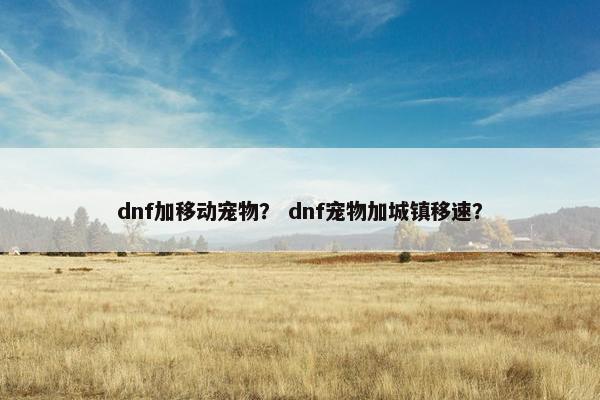 dnf加移动宠物？ dnf宠物加城镇移速？