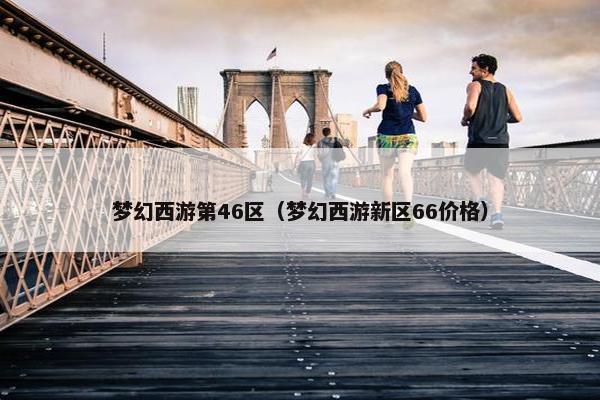 梦幻西游第46区（梦幻西游新区66价格）