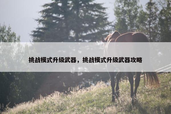 挑战模式升级武器，挑战模式升级武器攻略